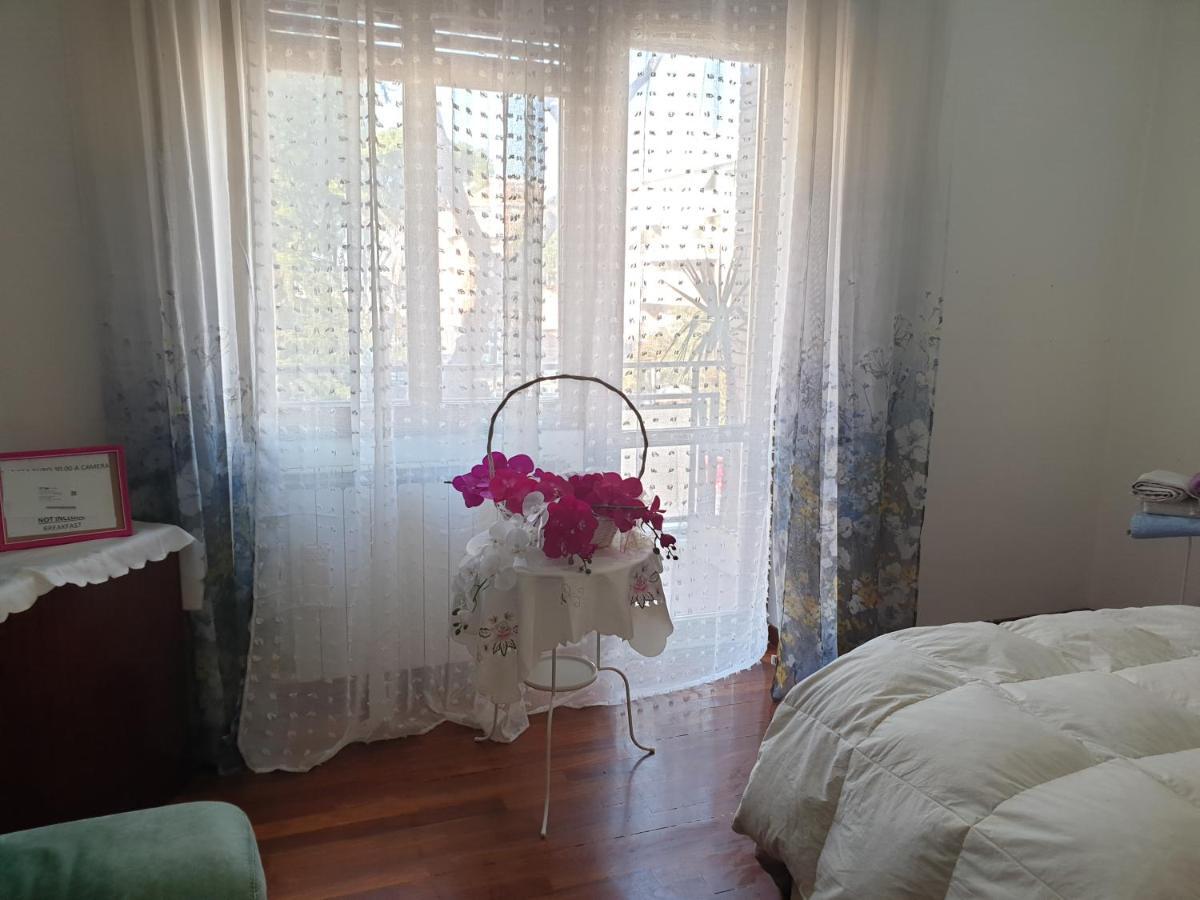 B&B Mary'S House Ciampino Zewnętrze zdjęcie