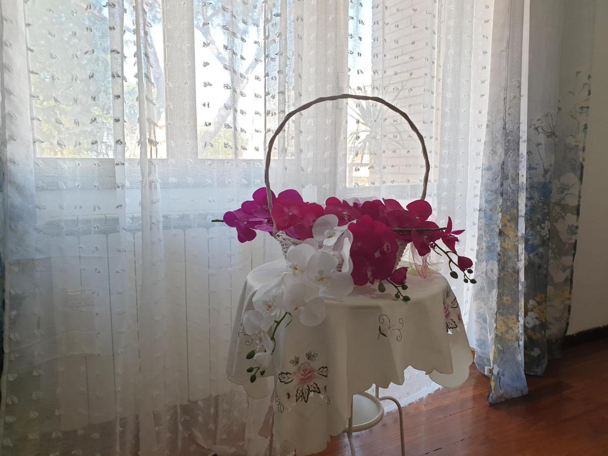 B&B Mary'S House Ciampino Zewnętrze zdjęcie